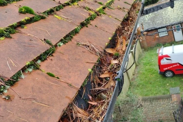 before gutter cleaning photo