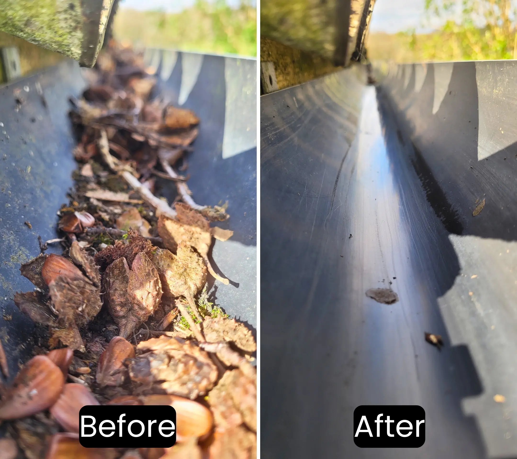 Gutter cleaning in Plymouth