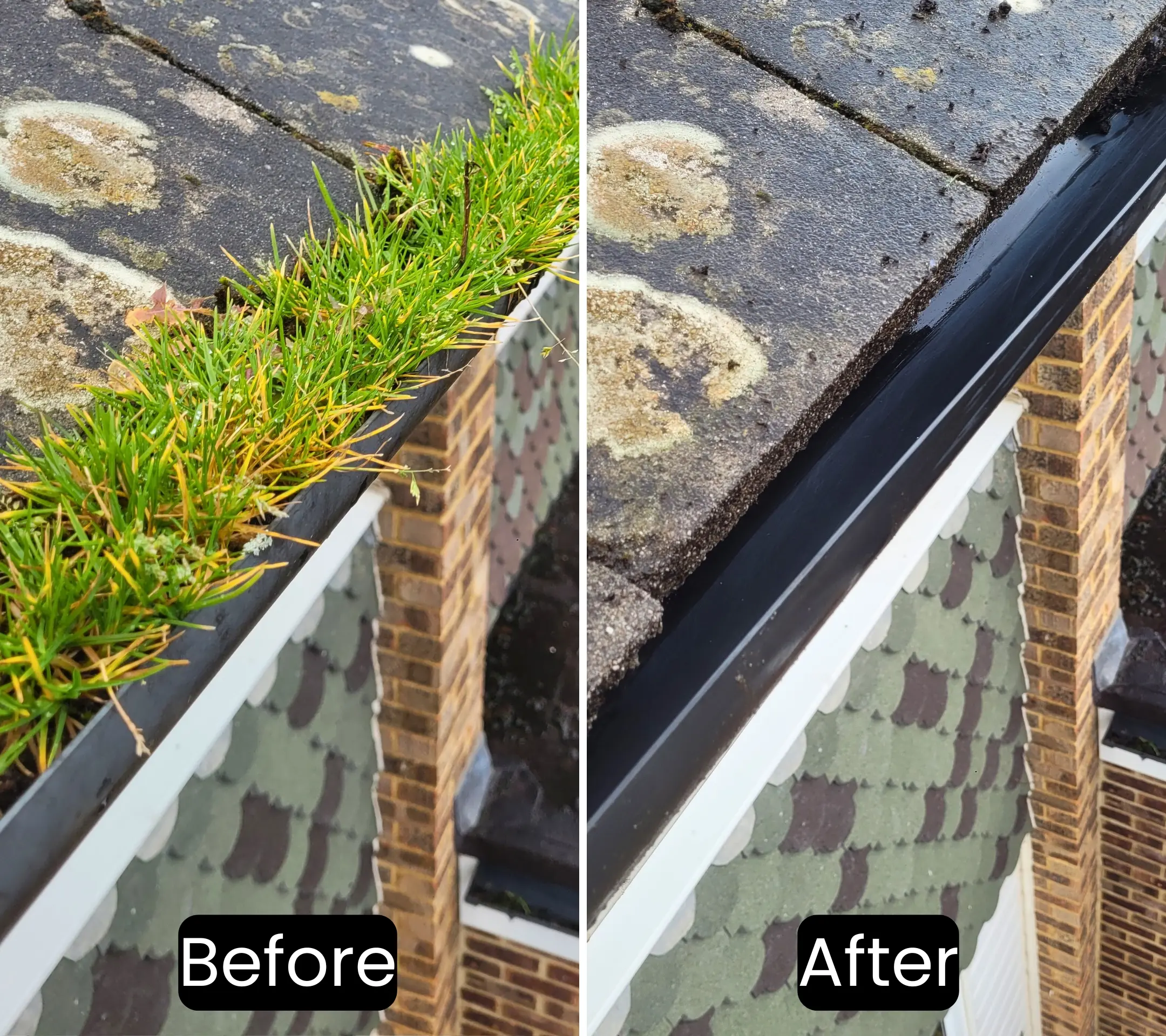 Gutter and roof cleaning in Torquay